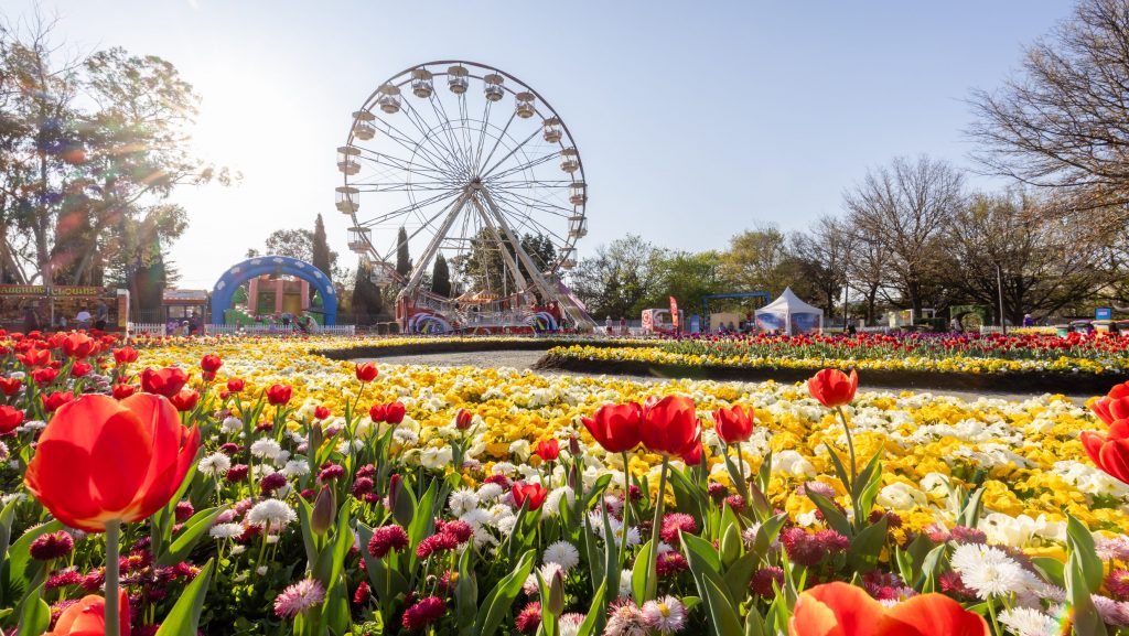 Floriade Festival